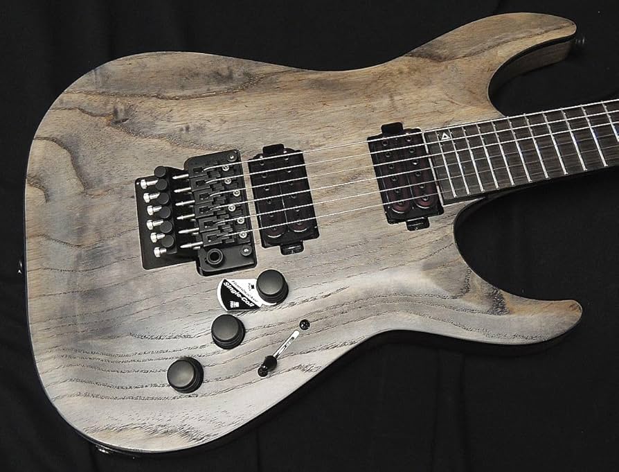 Amazon | Schecter AD-C-1-FR-APOC RG APOCALYPSE Rusty Grey